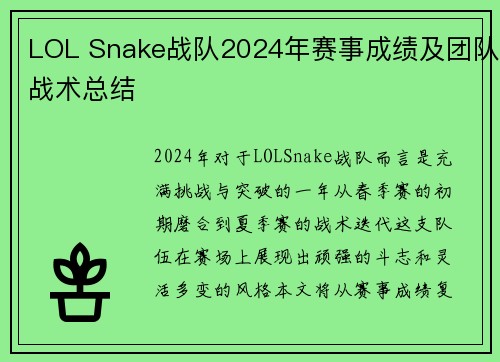 LOL Snake战队2024年赛事成绩及团队战术总结